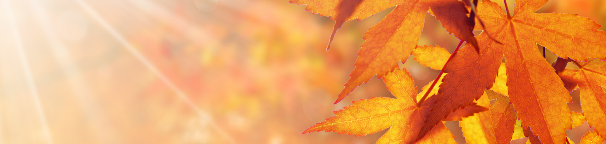 Herfst_immuniteit